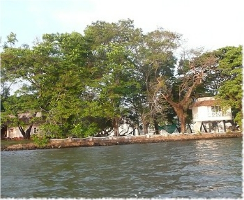 Images/cochin 523.jpg